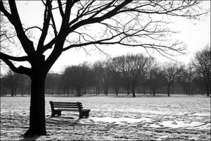 sola en el parque